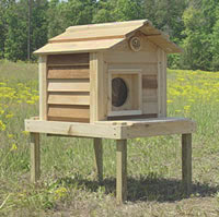 Image of 17 Inch Cedar Cat House with Platform
