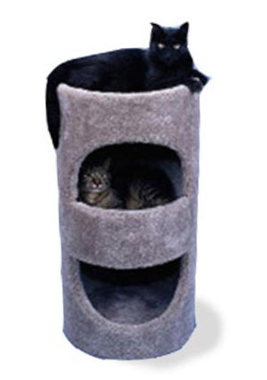  Pets Cat Townhouse pets 