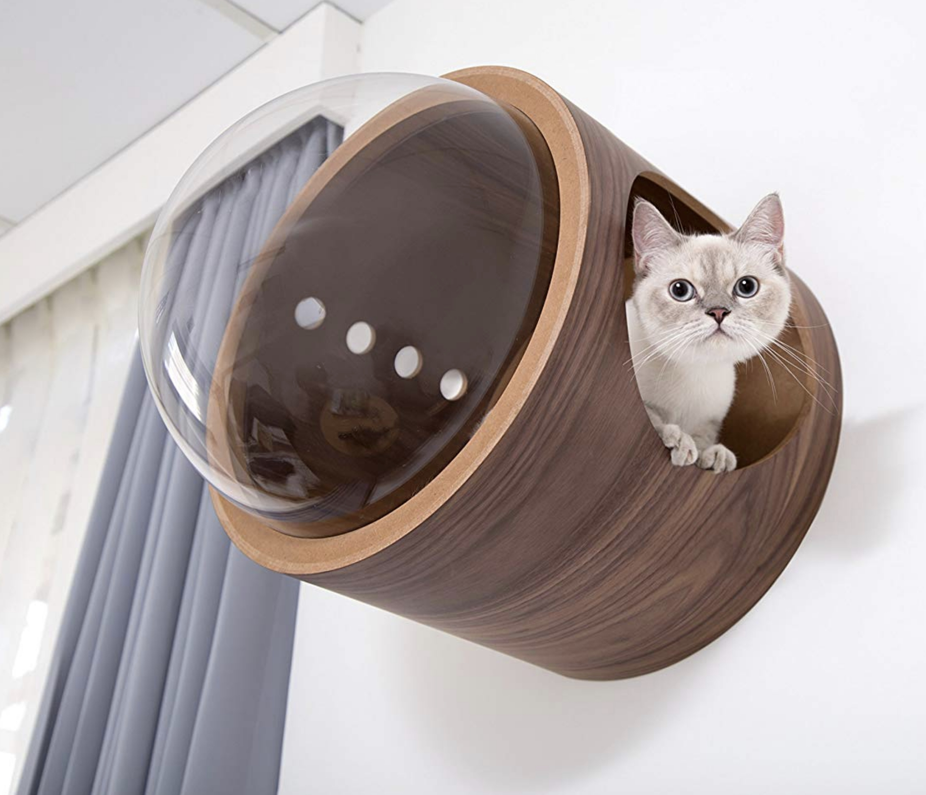  Pets Cat Townhouse others 