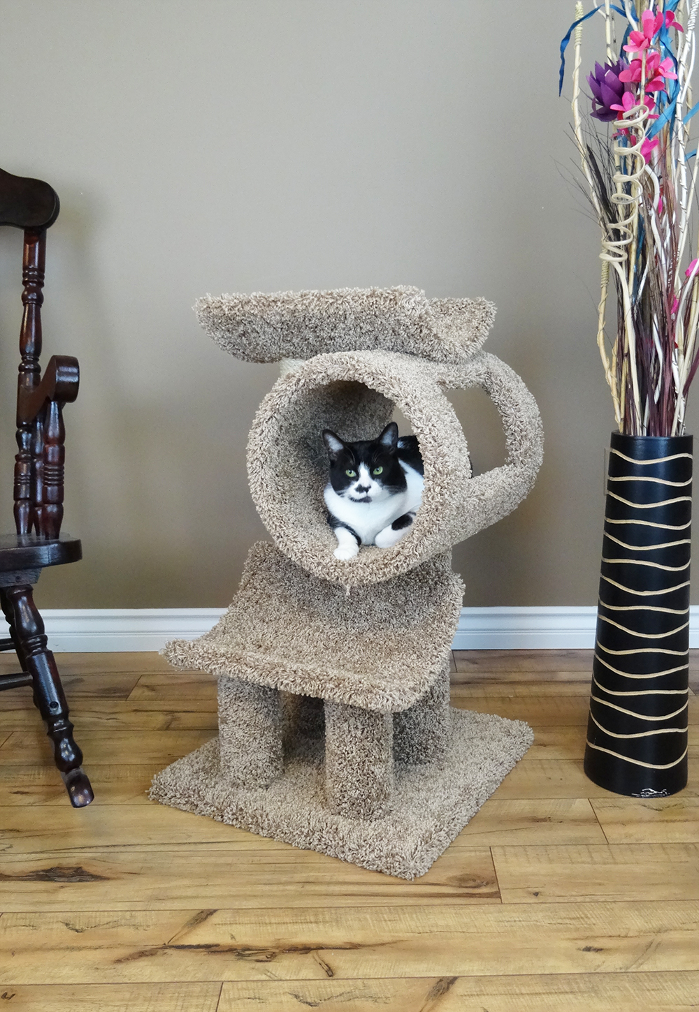  Pets Cat Townhouse others 