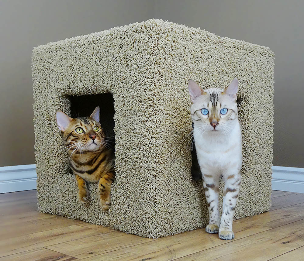  Pets Cat Townhouse others 