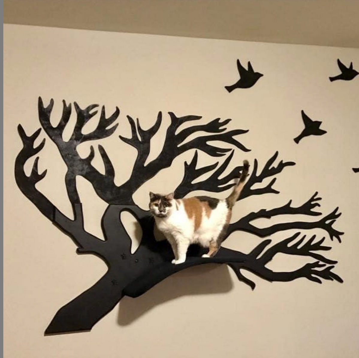 CatsPlay Cat Furniture Instagram