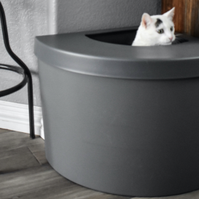 4 Simple Tips for Finding the Perfect Cat Litter Box
