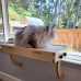 Sturdy Wood Cat Window Seat Perch Bed