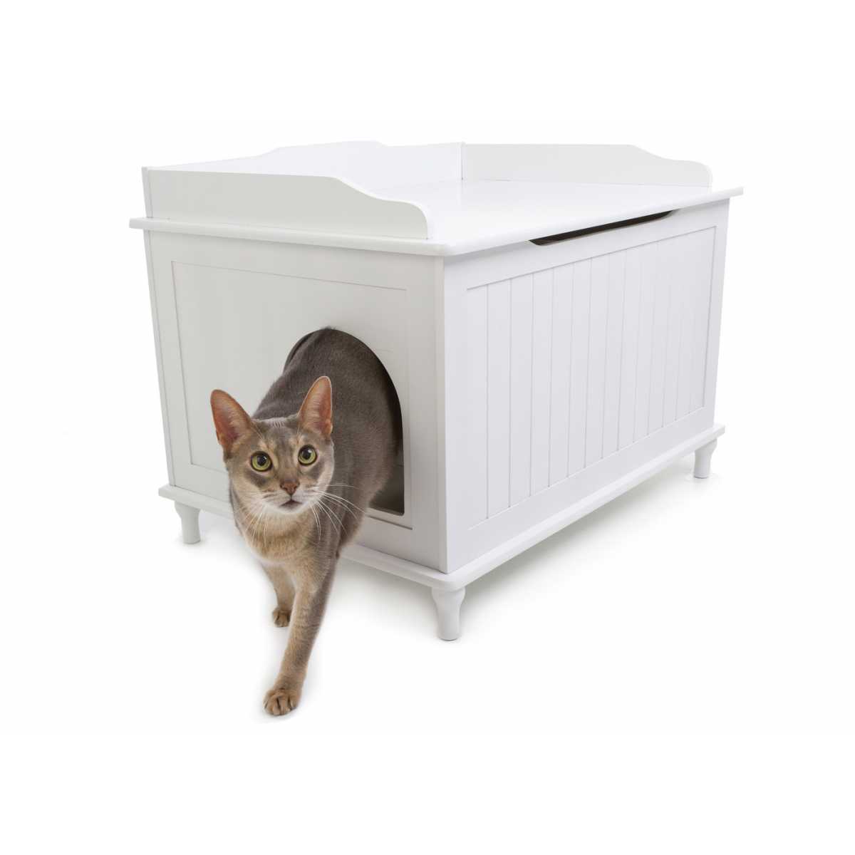 Catbox Litter Box Enclosure CatsPlay Superstore