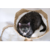 Centralia Luxury Wood & Woven Cat Tree for Large Cats