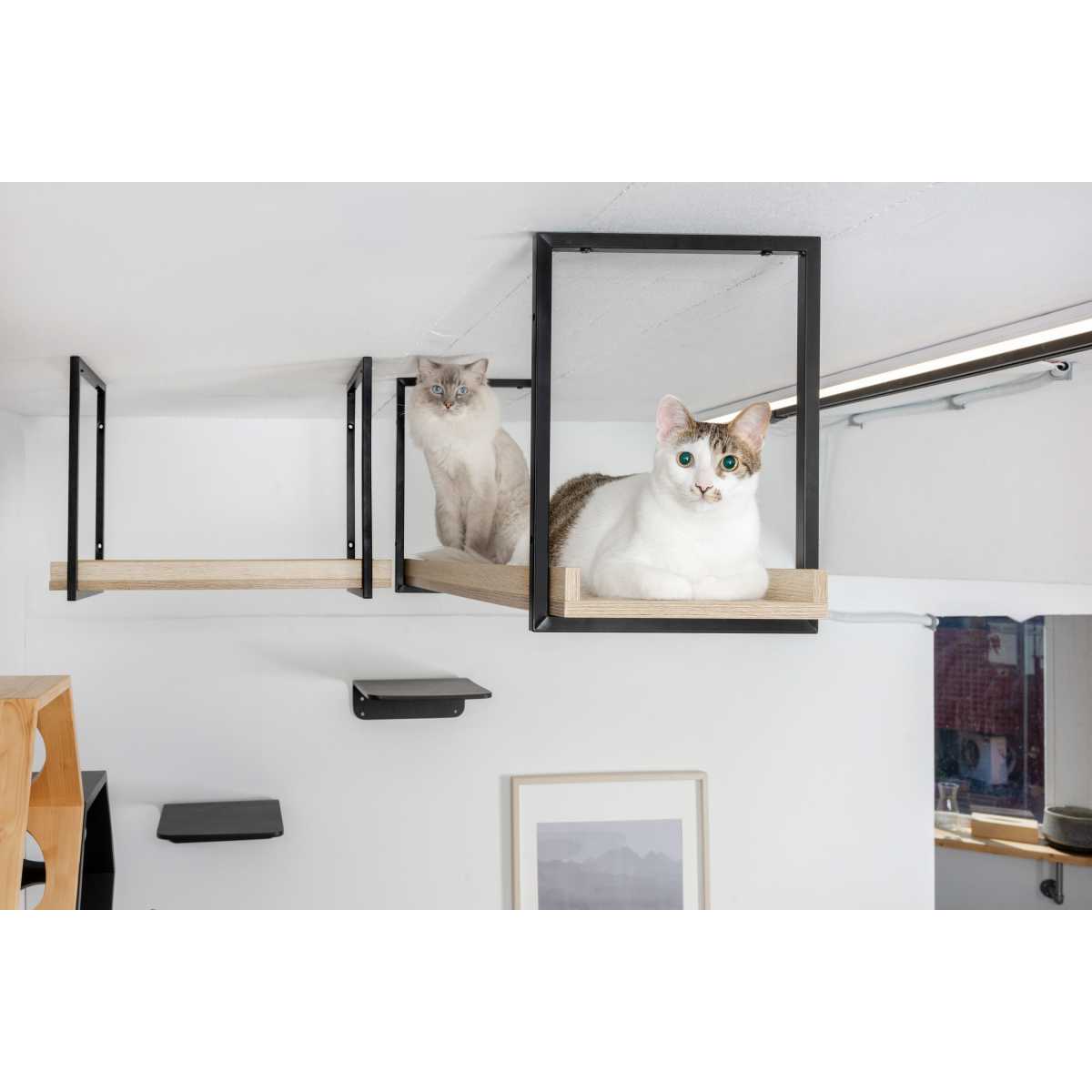 Cat Wall Or Ceiling Mounted Bridge