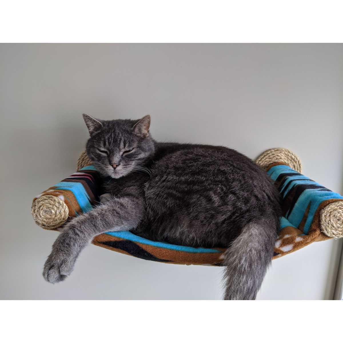 Cat Hammock - Wall Mounted Cat Bed - Southwest - CatsPlay Superstore