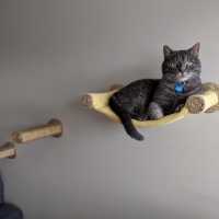 Cat Hammock - Wall Mounted Cat Bed - Yellow