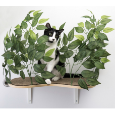 Canopy Curved Cat Wall Shelves with Leaves - Set of (2) CN001