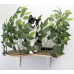 Luxury Cat Tree (Medium) - Square Base + (2) Canopy Rectangle Cat Wall Shelves Bundle BND01