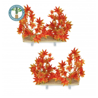Canopy Rectangle Cat Wall Shelves with Leaves - ORANGE BLAZE  - Set of (2)