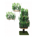 Luxury Cat Tree (Large) - Square Base + (2) Canopy Rectangle Cat Wall Shelves Bundle BND02