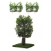 Luxury Cat Tree (Medium) - Square Base + (2) Canopy Rectangle Cat Wall Shelves Bundle BND01