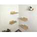 Set of (4) Cat Wall Shelves for Wall or Corner Placement