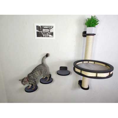 Cat Wall Tree with Cozy Round Bed and 3 Steps
