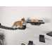 Bony Deluxe Cat Wall Mounted Lounge & Climb System