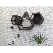 Triangular Cat Hex Wall Shelf + 2 Hexagons + 3 Steps