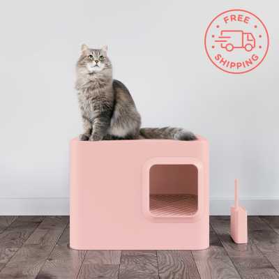 Loo Litter Box in Blush Pink