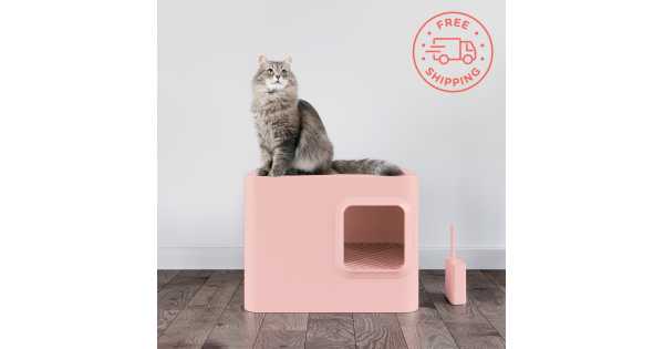 Pink Cats Full Rectangle Boxes Planner Boxes for Planning