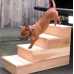 Cedar Pet Steps 1, 2 or 3 Step Height with Grit Stri[s