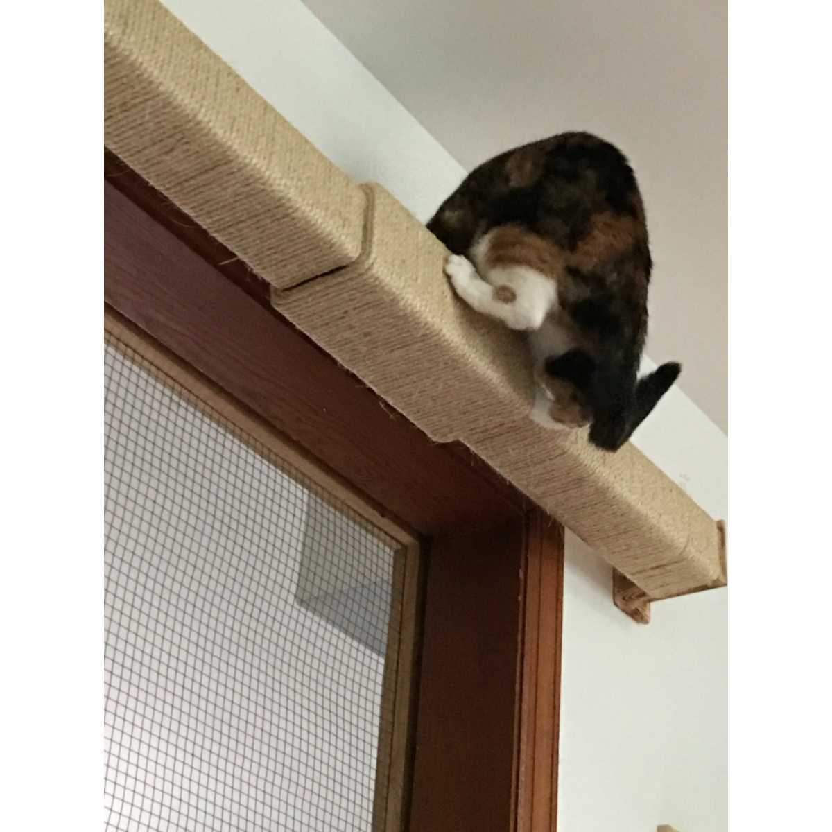 Modish Wall Mounted Cat Climbing Pole - CatsPlay Superstore