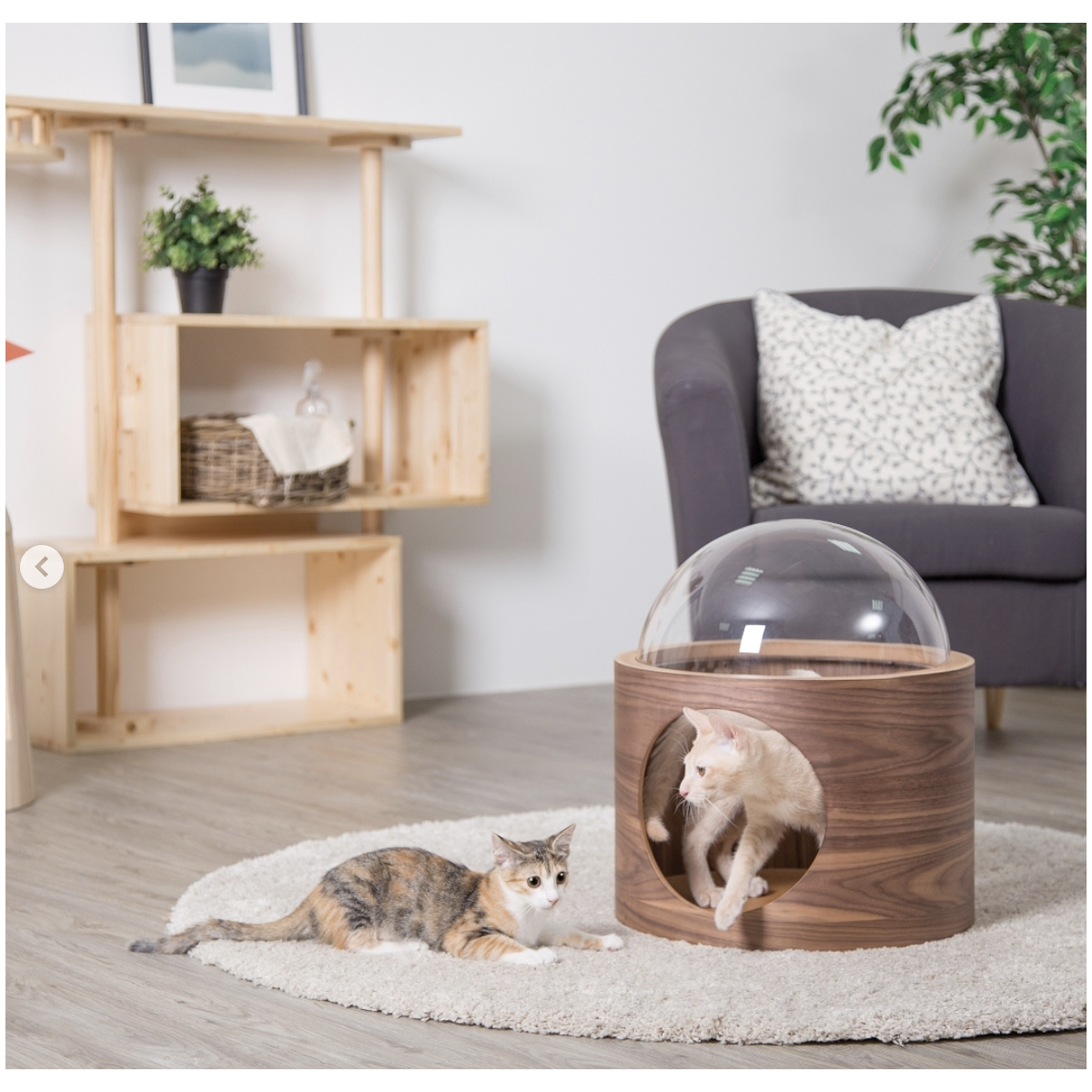Spaceship Gamma Ultra Modern Cat Bed Or Wall Mounted Bed 236