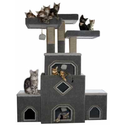 Boardwalk Cat Gym cat tree for multiple cats