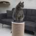 MaxScratch Oversized Cat Scratching Post and Perch