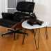 NestEgg Raised Cat Bed & Side Table 