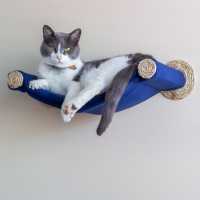 Cat Hammock - Wall Mounted Cat Bed - Blue