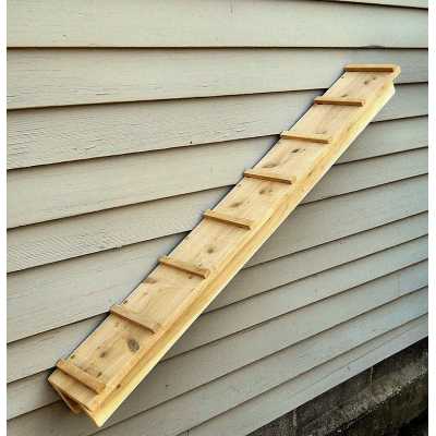 Outdoor Cedar Cat Wall System: 44 Inch Ramp Image