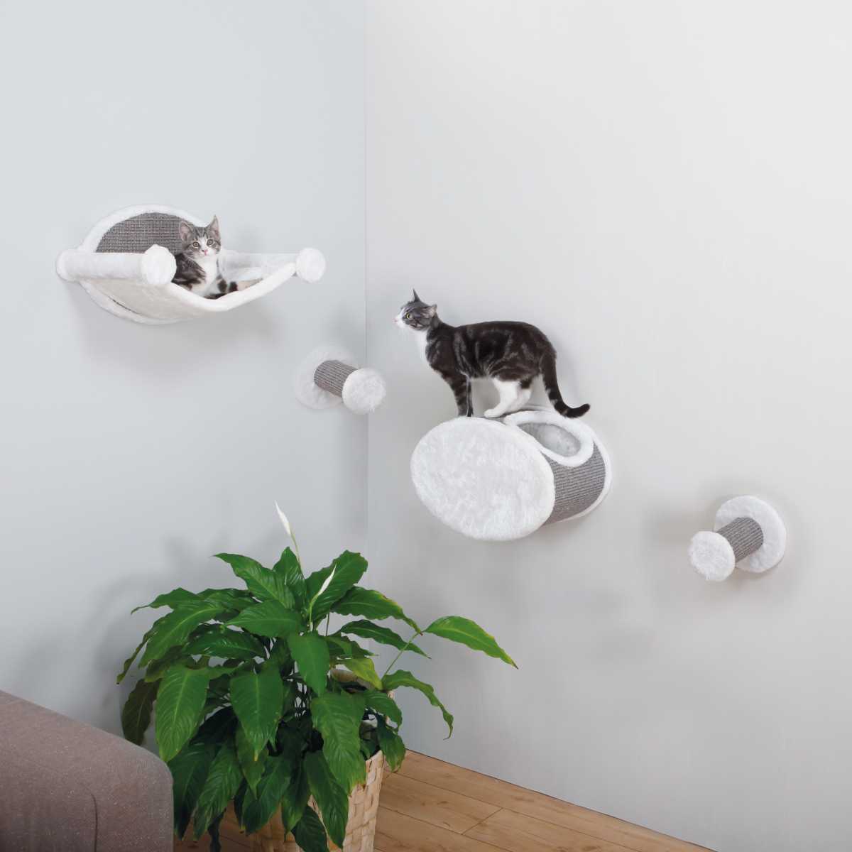 Wall Mounted Cat  Play Set CatsPlay Superstore